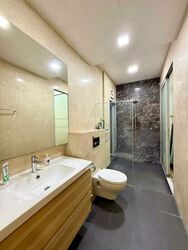 D' Chateau @ Shelford (D11), Apartment #477392861